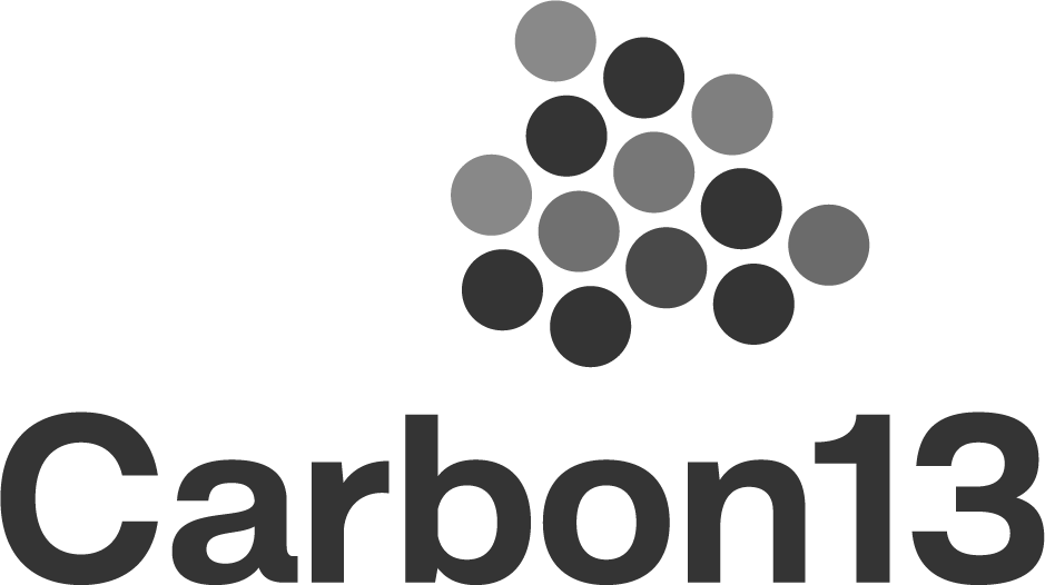Carbon13 Venture Builder logo