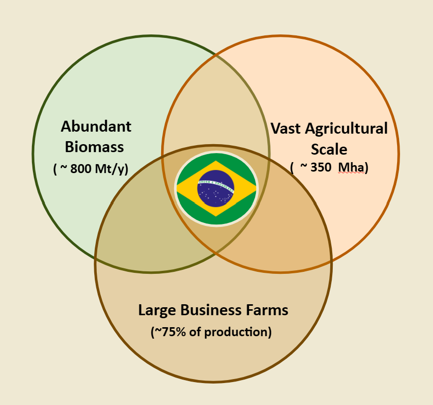 Venn diagram showing why Brazil is key for biochar